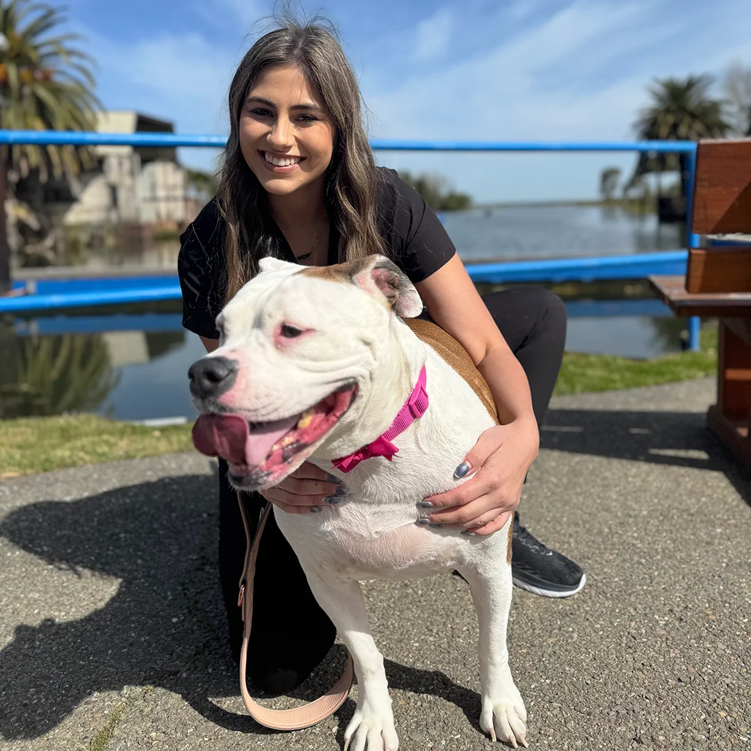 Woman kneeling beside a happy white and brown pit bull mix wearing a pink collar, both enjoying a sunny day near the water.