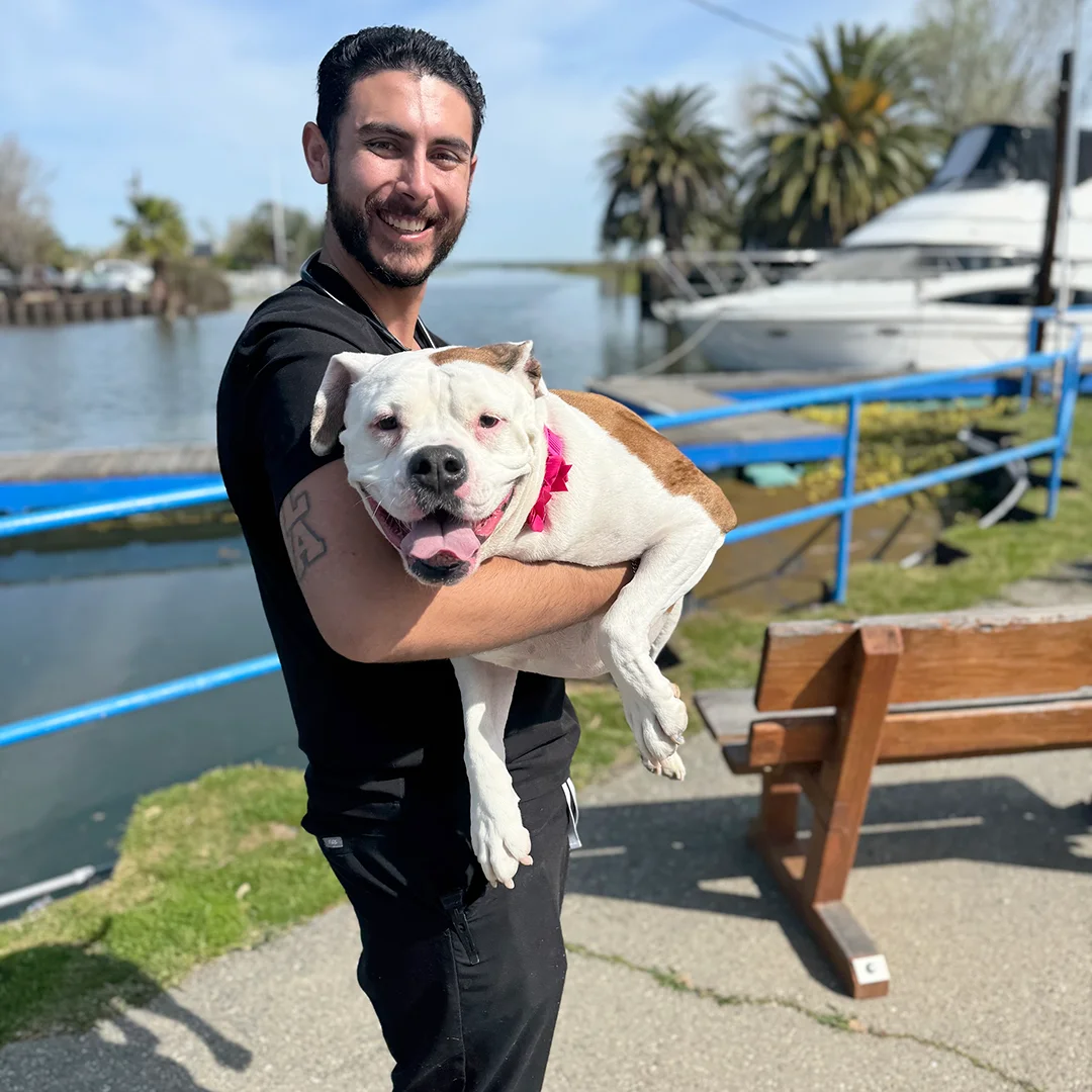 Man holding a happy white and brown pit bull mix in his arms near a waterfront with palm trees and a boat in the background.