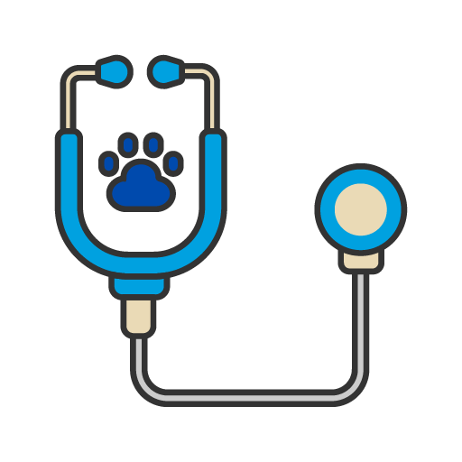 Preventative Care Icon