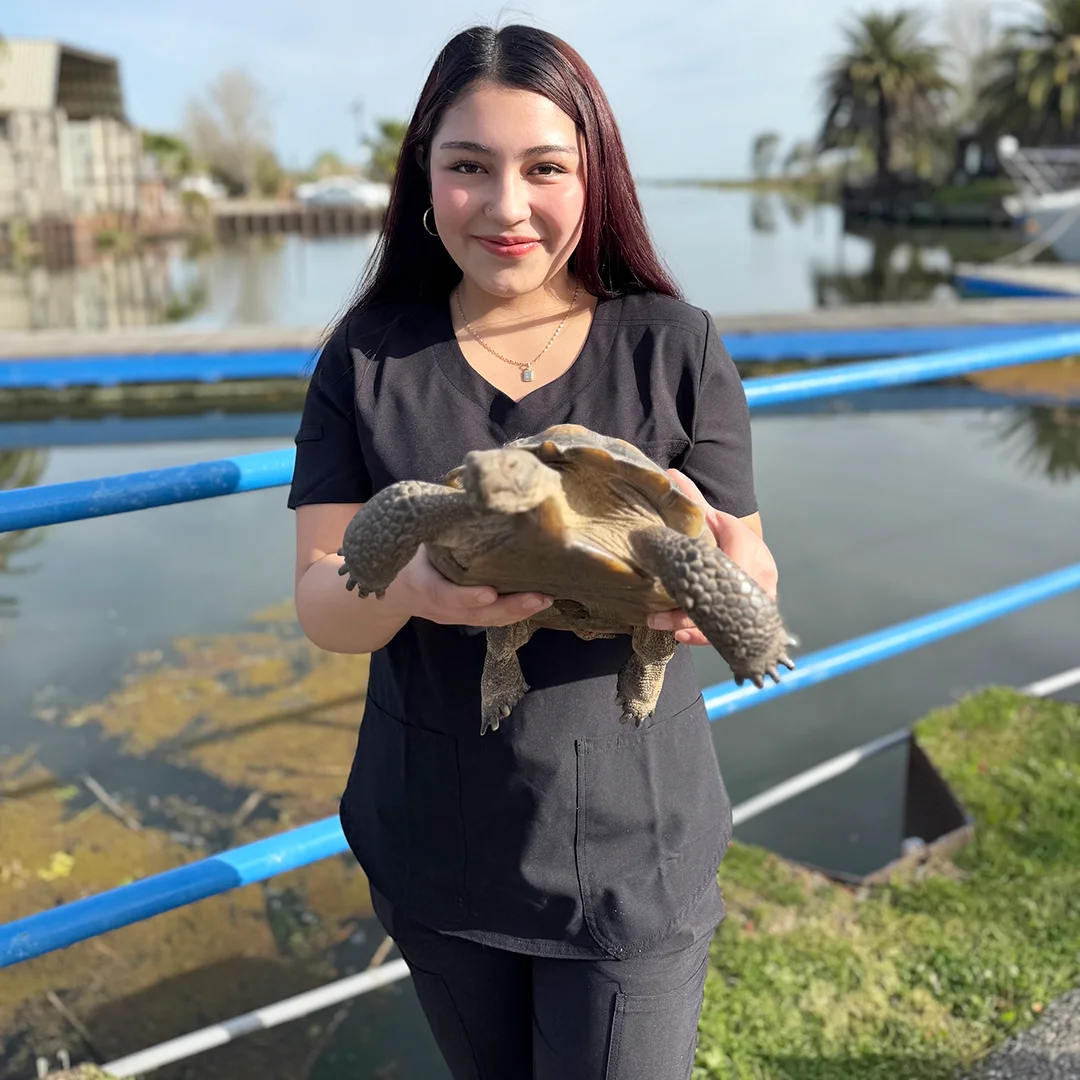Smiling woman holding a large tortoise near a waterfront with palm trees in the background.