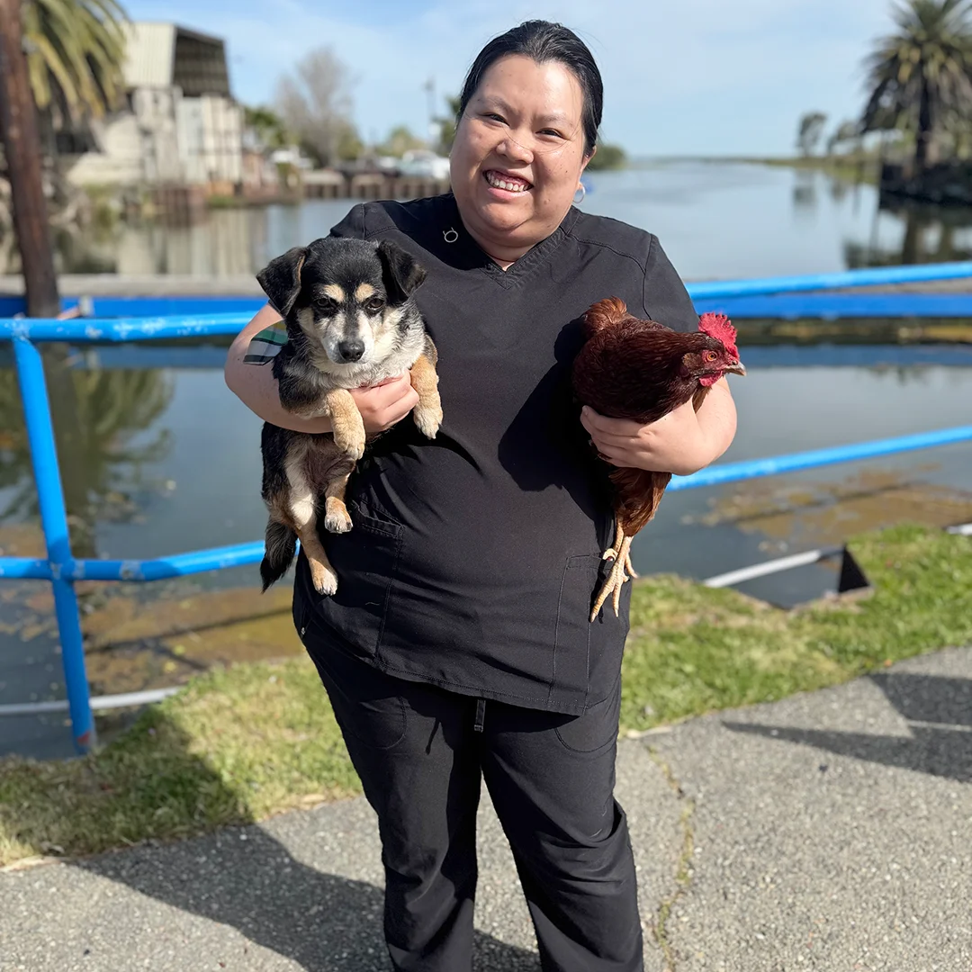 Smiling veterinary team member holding a small dog and a brown chicken near a waterfront on a sunny day.
