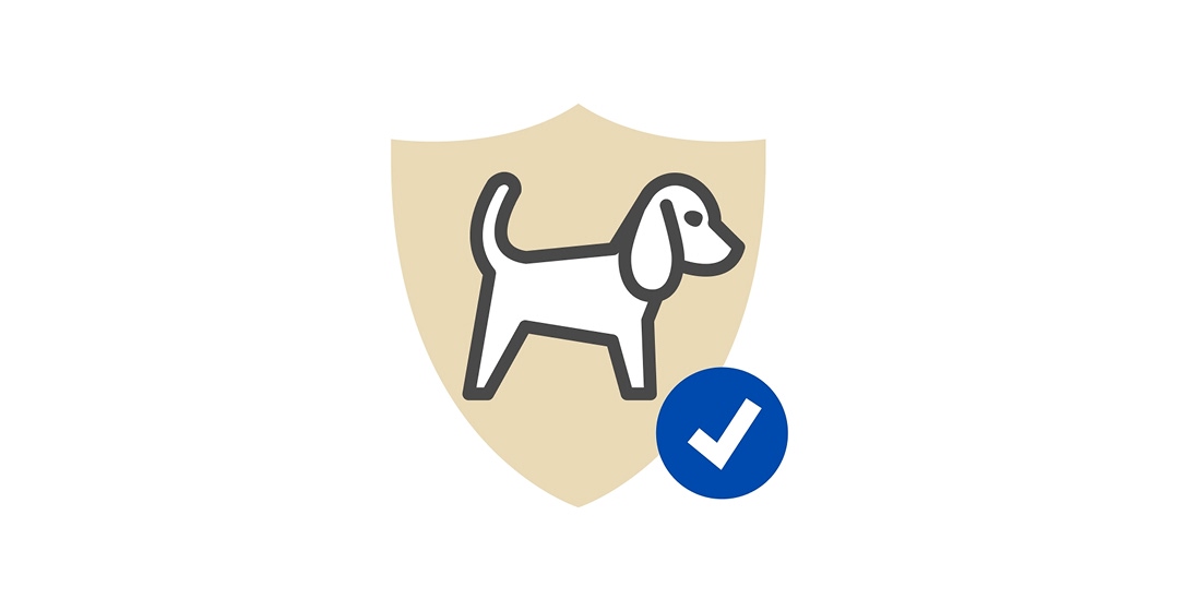 Pet insurance